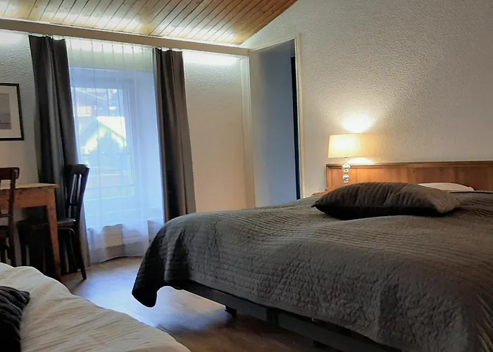 Hotel Restaurant Le Gietroz 2*